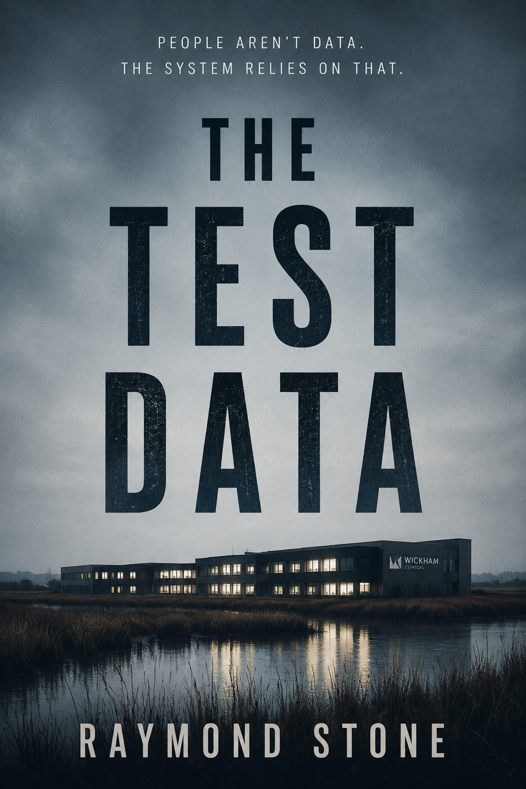 Cover of The Test Data, a thriller by Raymond Stone
